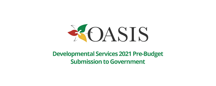Developmental Services 2021 Pre-Budget Submission to Government