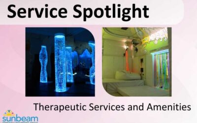 Service Spotlight – Therapeutic Services and Amenities