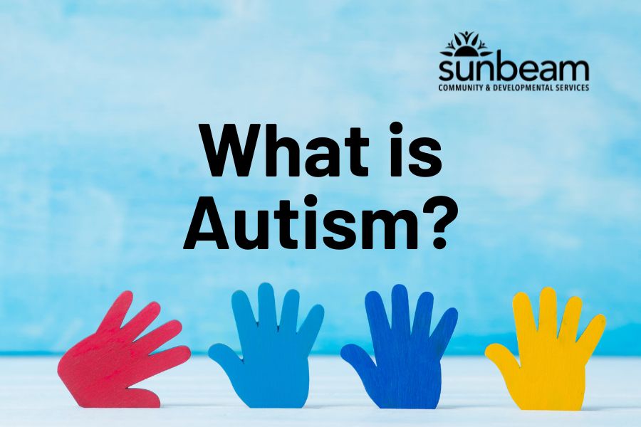 What is Autism?