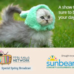 MMN News Network - Spring 2025 Special Broadcast poster image