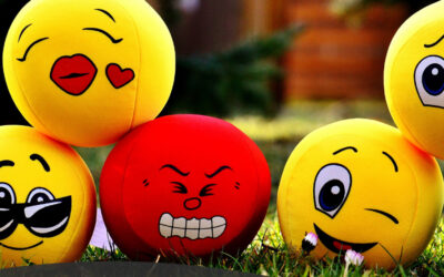 Emotional Regulation – Virtual Workshop