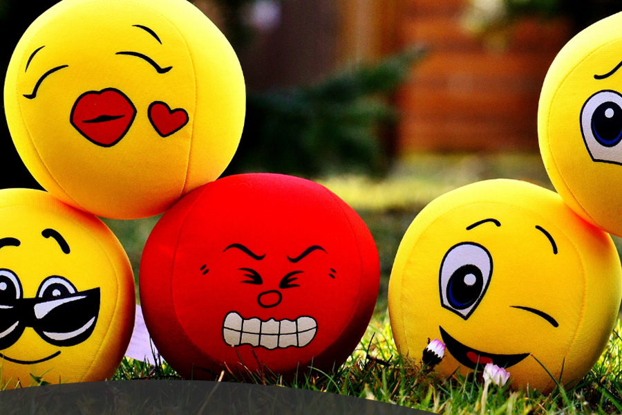 Emotional Regulation – Virtual Workshop