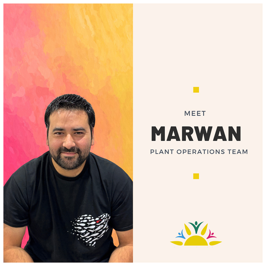 Meet Marwan image