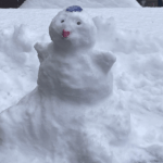 Sims House Snow Day poster image