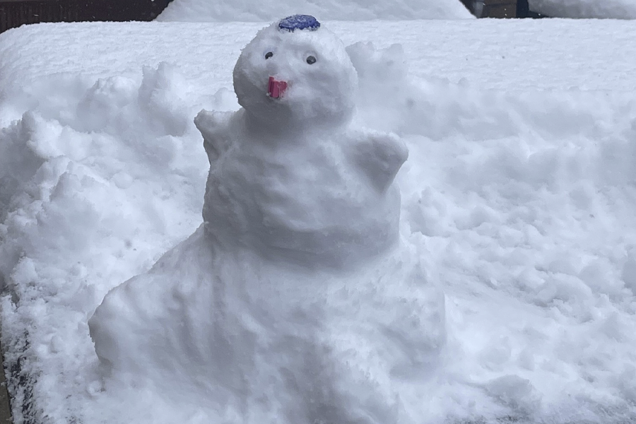 Sims House Snow Day!