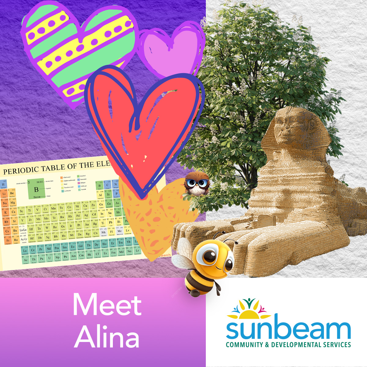 Meet Alina image Meet Alina image