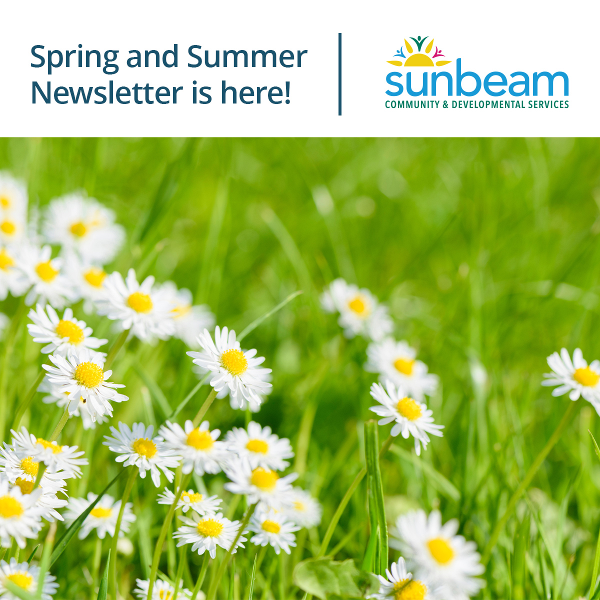 Spring and Summer Newsletter image
