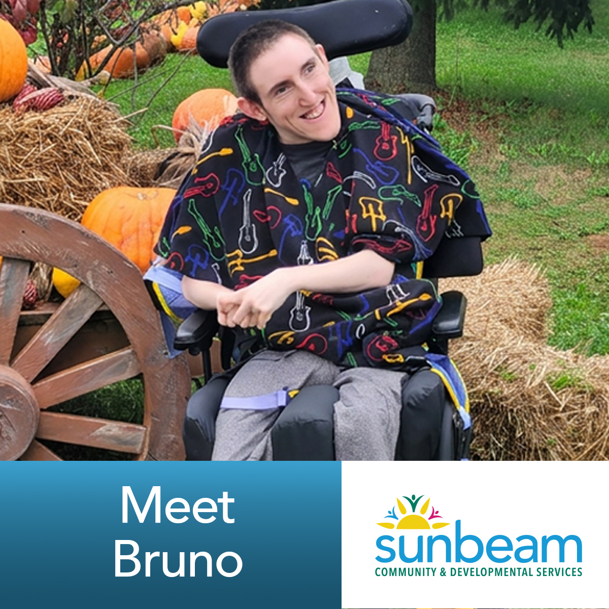 Meet Bruno image