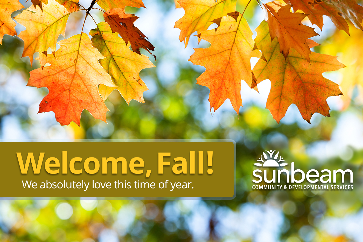Welcome Fall image
