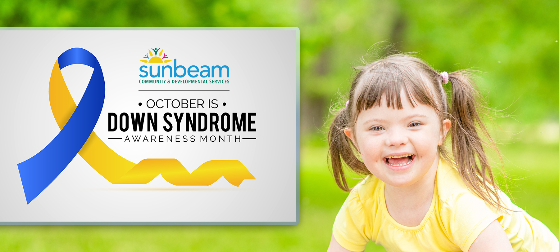 Down Syndrome Awareness Month image